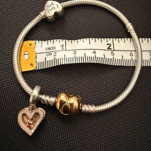 Pandora Charm Bracelet